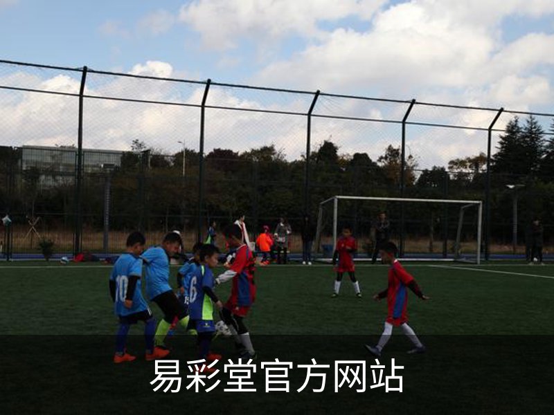 关于易彩堂官方网站